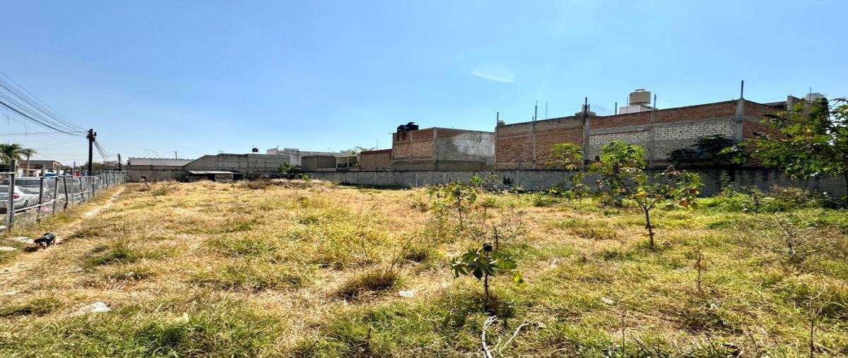 Foto de terreno habitacional en venta en calle francisco i. madero , san juan de ocotan, zapopan, jalisco, 27944235 No. 05