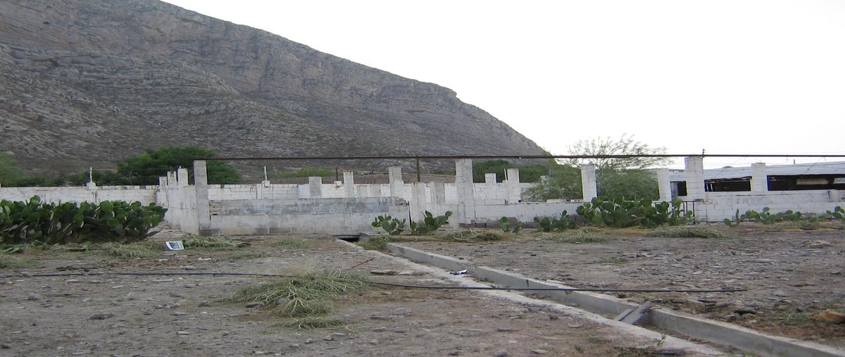 Foto de casa en venta en calle francisco villegas y miguel hidalgo , león guzmán, lerdo, durango, 25353164 No. 04