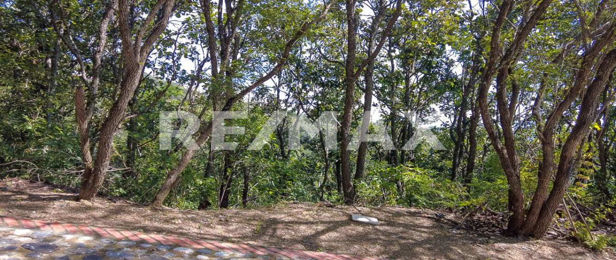 Foto de terreno habitacional en venta en calle gavilán , san gaspar, valle de bravo, méxico, 0 No. 03