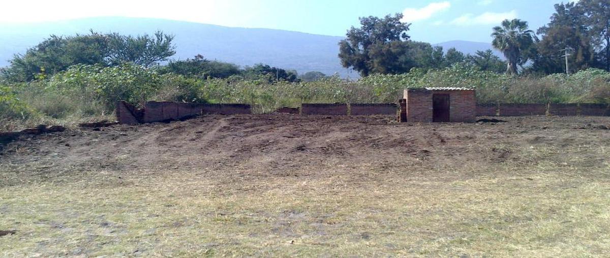 Foto de terreno habitacional en venta en calle gema lote 7, jocotepec centro, jocotepec, jalisco, 0 No. 03