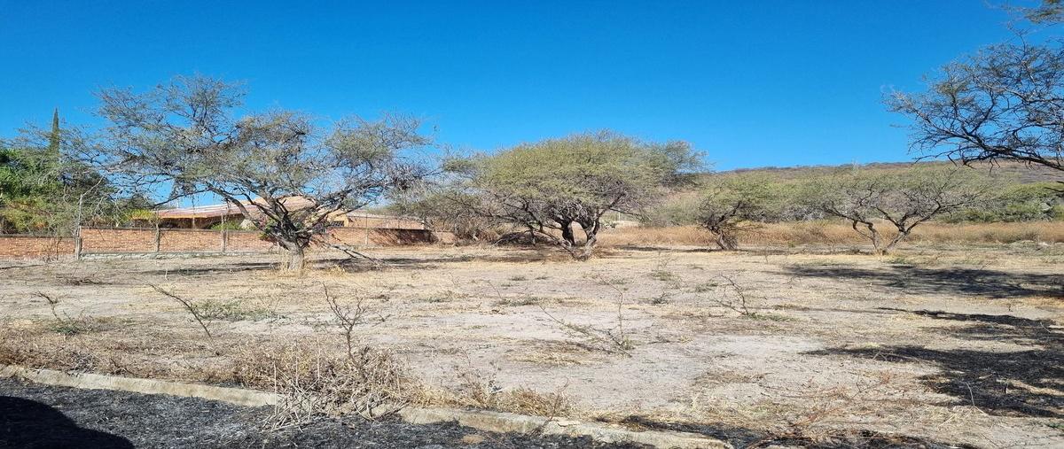 Foto de terreno habitacional en calle geminis , valle de los olivos, ixtlahuacán de los membrillos, jalisco, 30005557 foto 02 Foto de terreno habitacional en venta en calle geminis , valle de los olivos, ixtlahuacán de los membrillos, jalisco, 30005557 No. 02