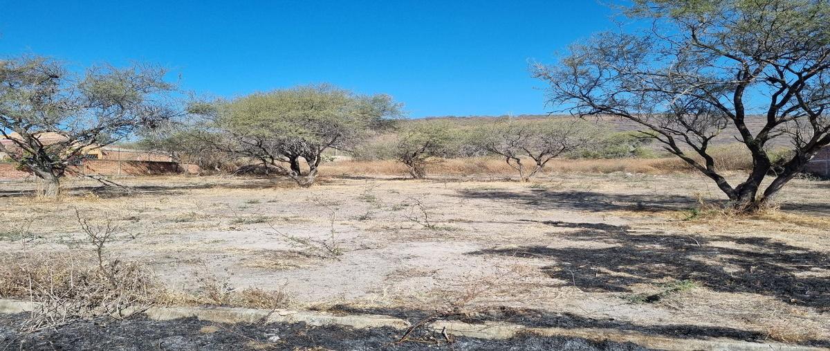 Foto de terreno habitacional en calle geminis , valle de los olivos, ixtlahuacán de los membrillos, jalisco, 30005557 foto 03 Foto de terreno habitacional en venta en calle geminis , valle de los olivos, ixtlahuacán de los membrillos, jalisco, 30005557 No. 03