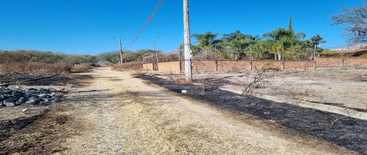 Foto de terreno habitacional en calle geminis , valle de los olivos, ixtlahuacán de los membrillos, jalisco, 30005557 foto 05 Foto de terreno habitacional en venta en calle geminis , valle de los olivos, ixtlahuacán de los membrillos, jalisco, 30005557 No. 05