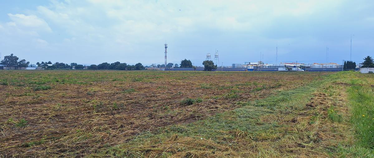 Foto de terreno industrial en venta en calle general mariano ruiz , santiago cuautlalpan, texcoco, méxico, 28658025 No. 04