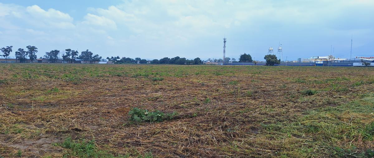 Foto de terreno industrial en venta en calle general mariano ruiz , santiago cuautlalpan, texcoco, méxico, 28658025 No. 05
