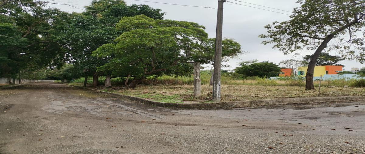 Foto de terreno habitacional en venta en calle guanabana , la lima, centro, tabasco, 27742694 No. 04