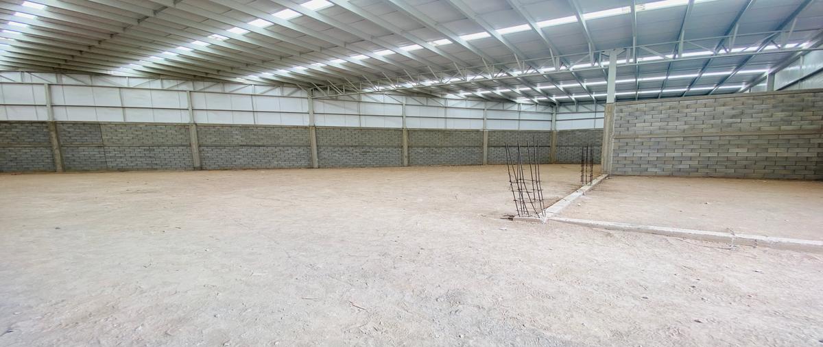 Foto de bodega en renta en calle guerrero , nuevo torreón, torreón, coahuila de zaragoza, 30531004 No. 05
