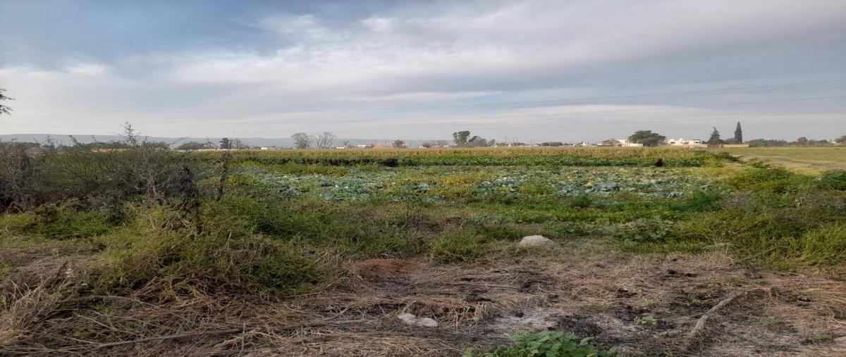 Foto de terreno habitacional en calle gustavo diaz ordaz , corral de barrancos, jesús maría, aguascalientes, 0 foto 01 Foto de terreno habitacional en venta en calle gustavo diaz ordaz , corral de barrancos, jesús maría, aguascalientes, 0 No. 01