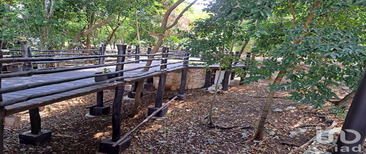 Foto de terreno habitacional en calle hercle , puerto morelos, puerto morelos, quintana roo, 29288185 foto 03 Foto de terreno habitacional en venta en calle hercle , puerto morelos, puerto morelos, quintana roo, 29288185 No. 03