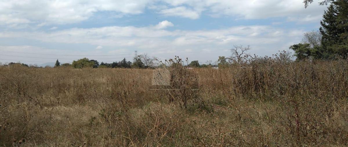 Foto de terreno habitacional en venta en calle hernan cortez 13, san diego, texcoco, méxico, 17149471 No. 03