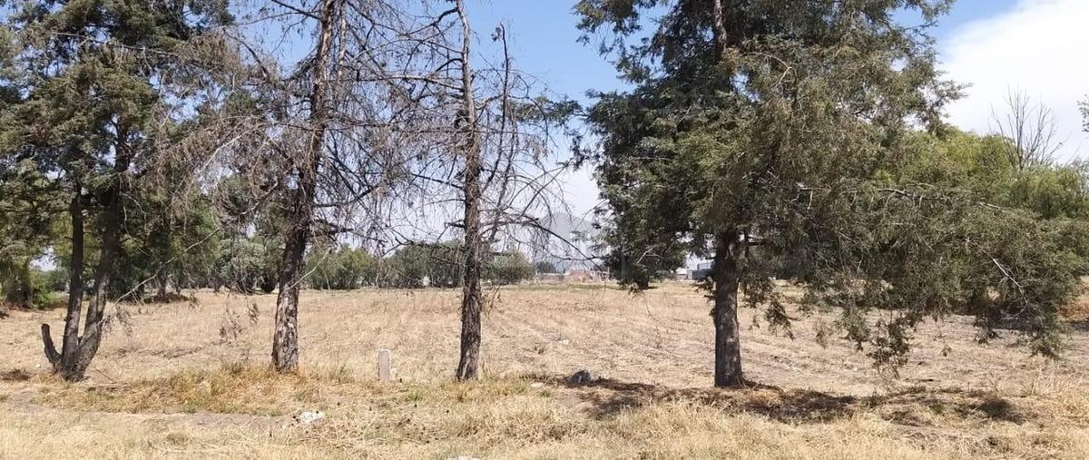 Foto de terreno habitacional en venta en calle hernan cortez 13, san diego, texcoco, méxico, 17149471 No. 04