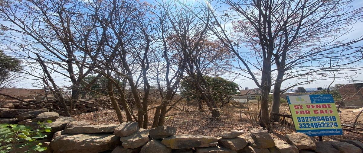 Foto de terreno habitacional en venta en calle hidalgo , santa maria del valle, arandas, jalisco, 0 No. 04