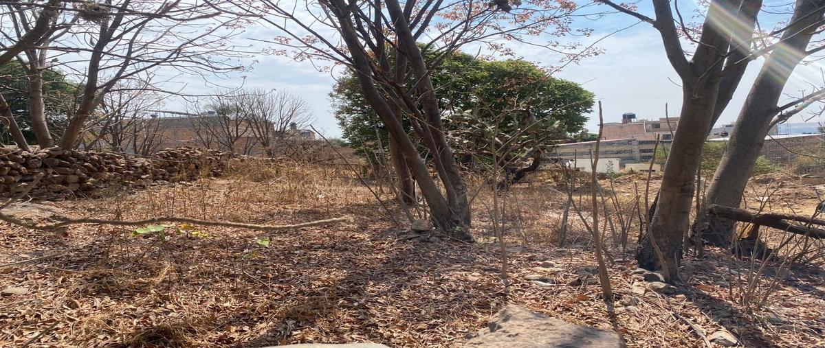 Foto de terreno habitacional en venta en calle hidalgo , santa maria del valle, arandas, jalisco, 0 No. 05