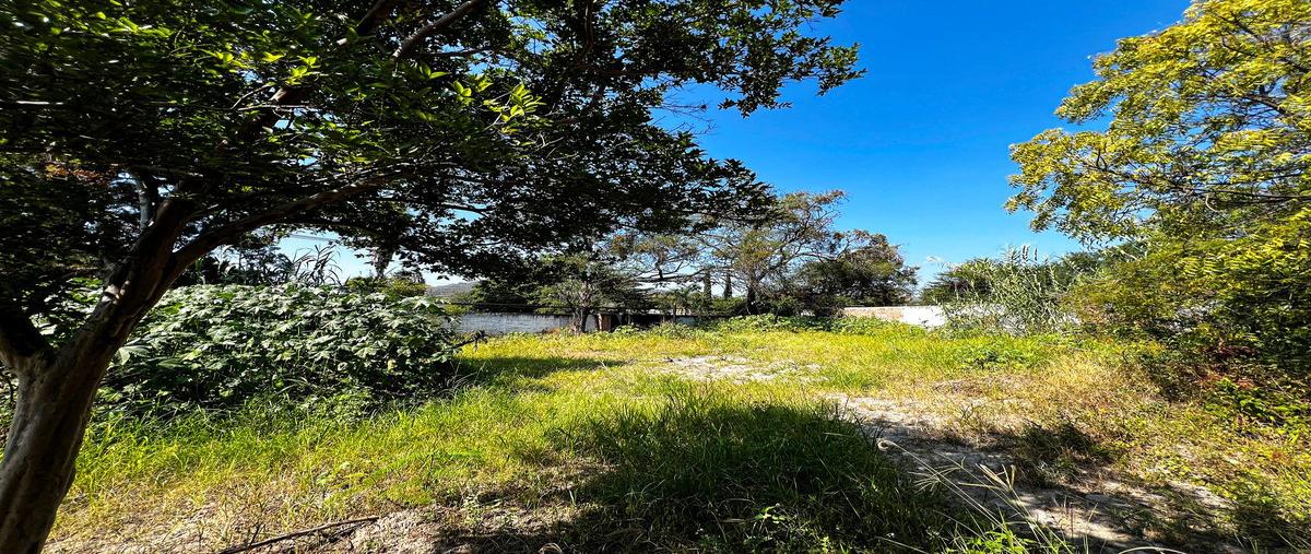 Foto de terreno habitacional en venta en calle higuera , tlajomulco centro, tlajomulco de zúñiga, jalisco, 29025215 No. 08