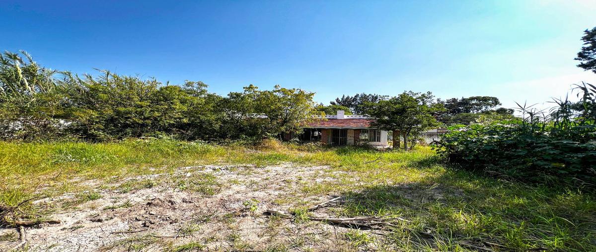 Foto de terreno habitacional en venta en calle higuera , tlajomulco centro, tlajomulco de zúñiga, jalisco, 29025215 No. 09