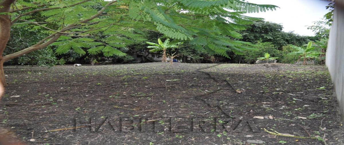 Foto de terreno habitacional en venta en calle hinojosa, santiago de la peña , santiago de la peña, tuxpan, veracruz de ignacio de la llave, 0 No. 03