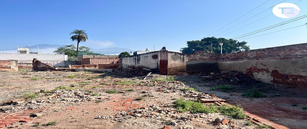 Foto de terreno comercial en renta en calle huerto 49, ameca centro, ameca, jalisco, 0 No. 03