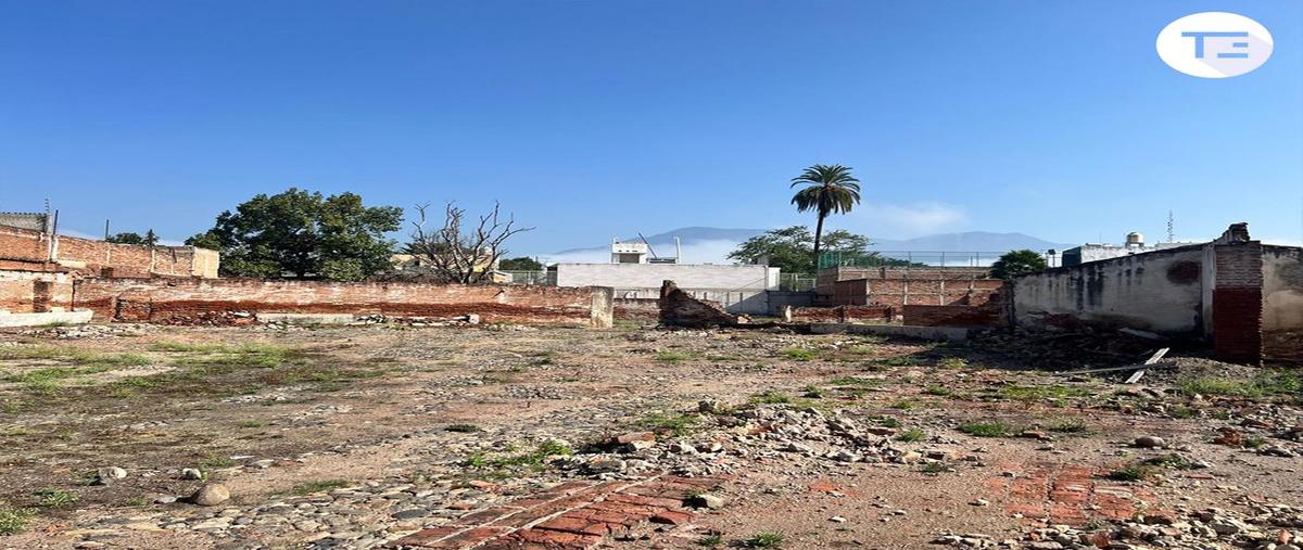 Foto de terreno comercial en renta en calle huerto 49, ameca centro, ameca, jalisco, 0 No. 04