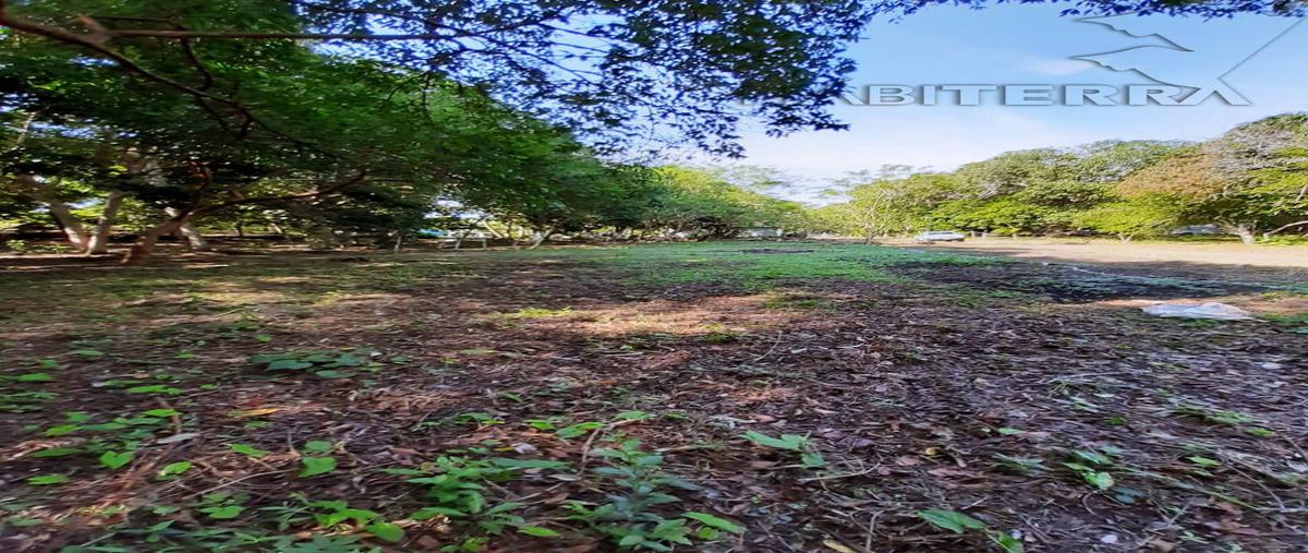 Foto de terreno habitacional en venta en calle: ignacio cruz chavez , isla de juana moza, tuxpan, veracruz de ignacio de la llave, 0 No. 03