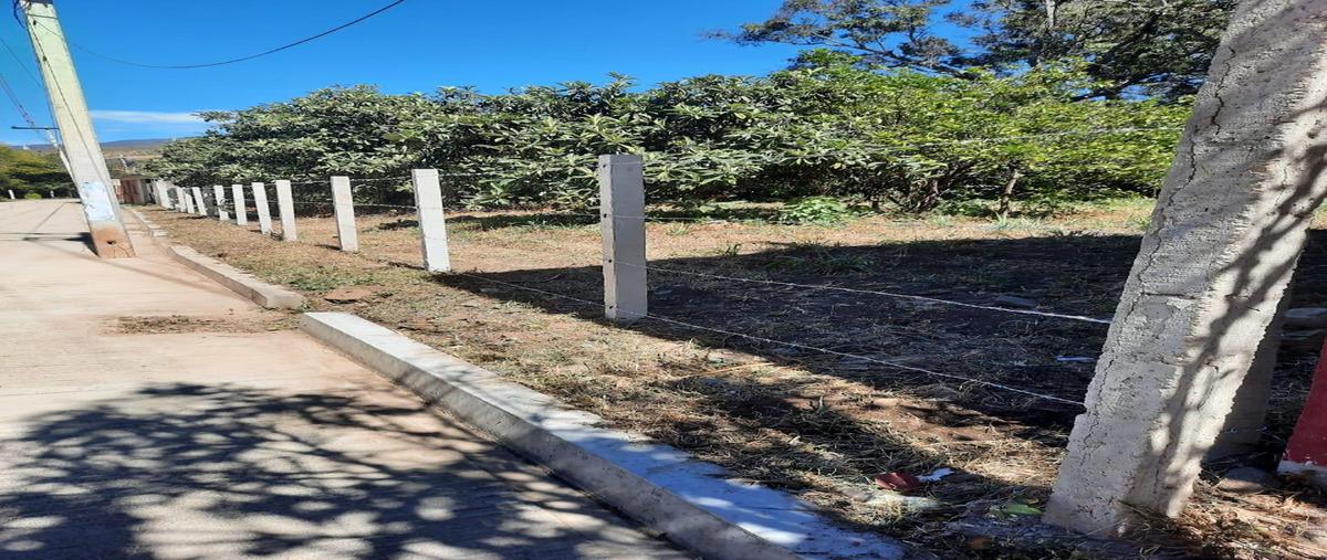 Foto de terreno habitacional en venta en calle ignacio zaragoza , san gabriel etla, san juan bautista guelache, oaxaca, 30219336 No. 08