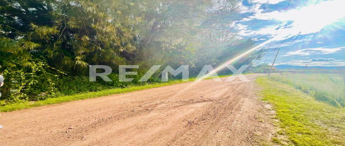 Foto de terreno habitacional en venta en calle independencia , santo domingo barrio alto, villa de etla, oaxaca, 0 No. 03