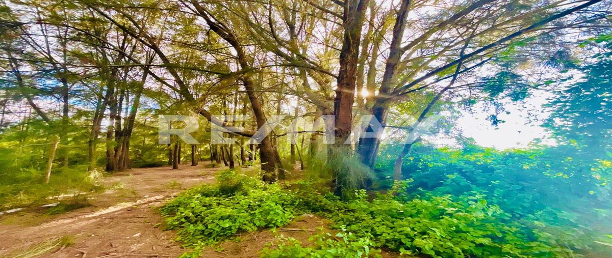 Foto de terreno habitacional en venta en calle independencia , santo domingo barrio alto, villa de etla, oaxaca, 0 No. 05