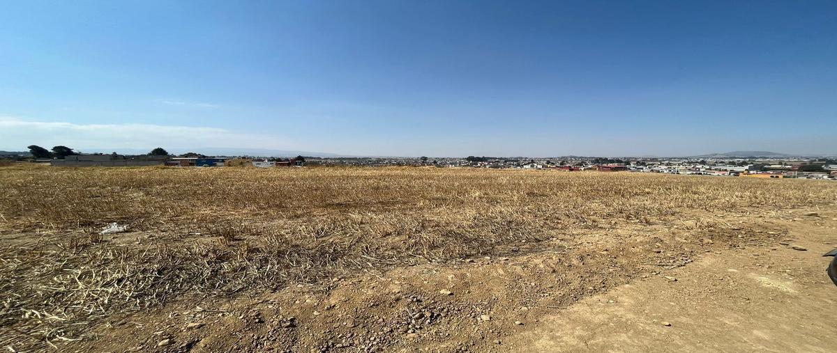 Foto de terreno habitacional en calle independencia51373 , santa cruz cuauhtenco, zinacantepec, méxico, 26368680 foto 03 Foto de terreno habitacional en venta en calle independencia51373 , santa cruz cuauhtenco, zinacantepec, méxico, 26368680 No. 03