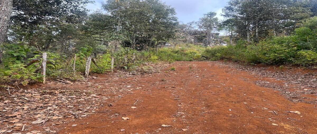 Foto de terreno habitacional en venta en calle innominada , san felipe ecatepec, san cristóbal de las casas, chiapas, 30108533 No. 03