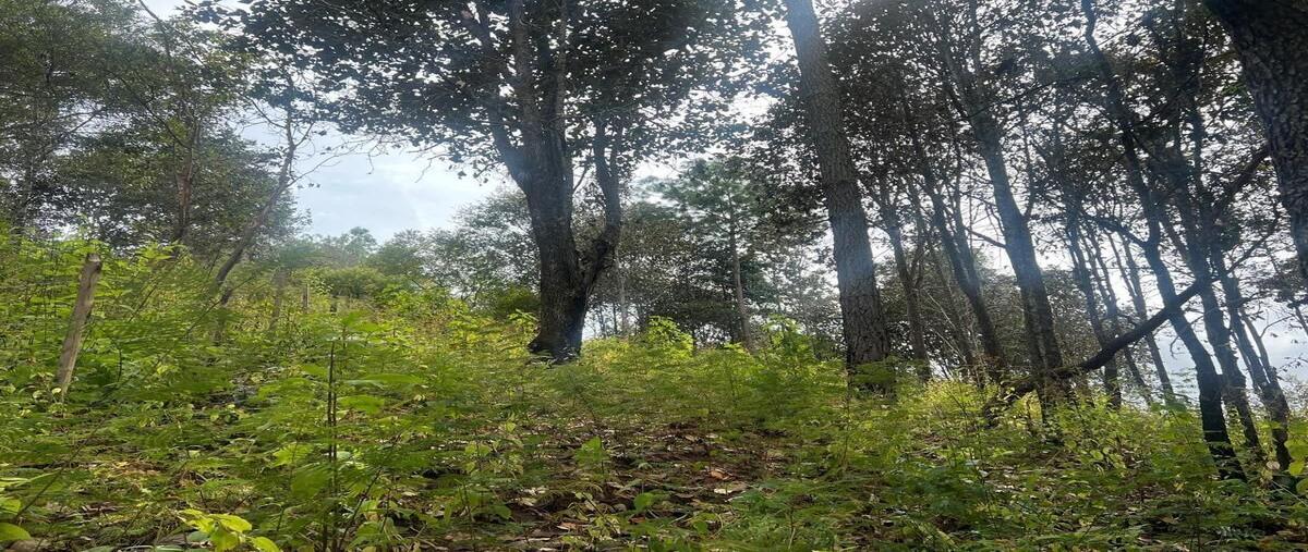 Foto de terreno habitacional en venta en calle innominada , san felipe ecatepec, san cristóbal de las casas, chiapas, 30108533 No. 04