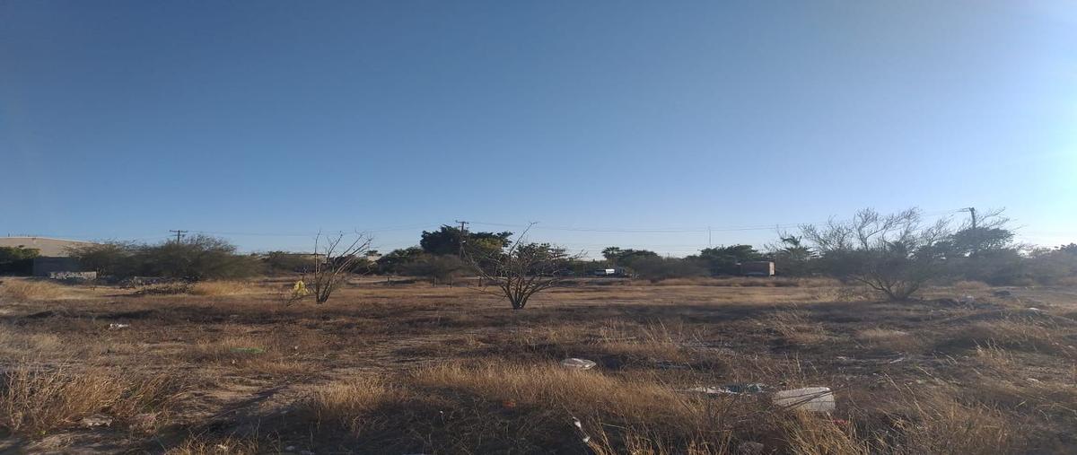 Foto de terreno habitacional en venta en calle isla cerralvo , los tabachines, la paz, baja california sur, 24719475 No. 05