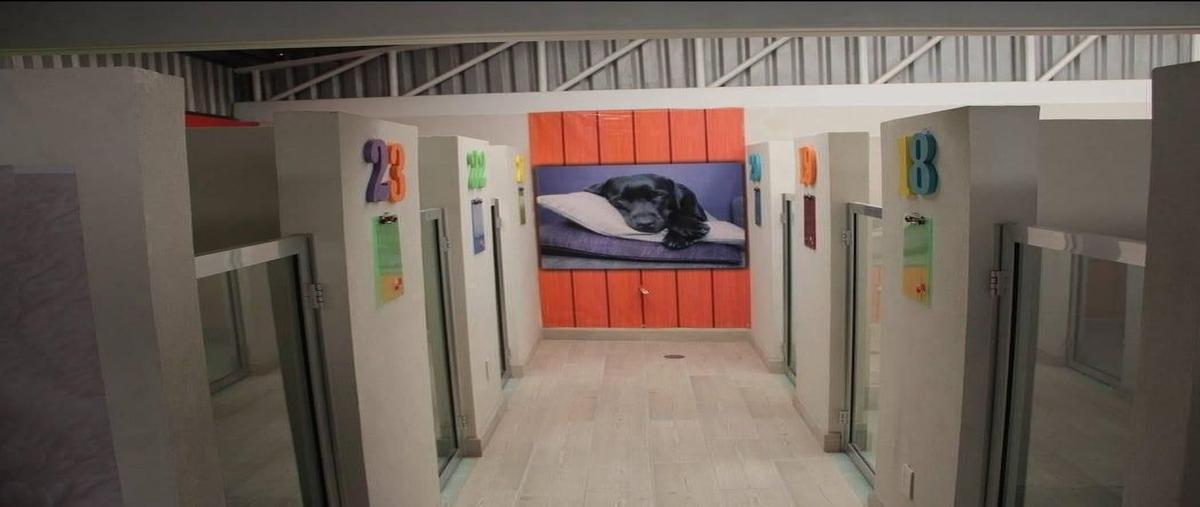 Foto de bodega en venta en calle jaliscomanzana 27ampliación los ángelescorregidoraquerétaro. lote 18 , ampliación los ángeles, corregidora, querétaro, 0 No. 05