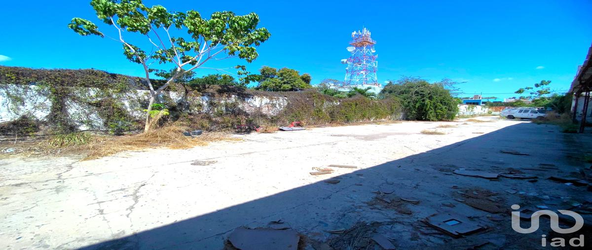 Foto de bodega en calle jimenez , juárez, santiago ixcuintla, nayarit, 0 foto 05 Foto de bodega en venta en calle jimenez , juárez, santiago ixcuintla, nayarit, 0 No. 05