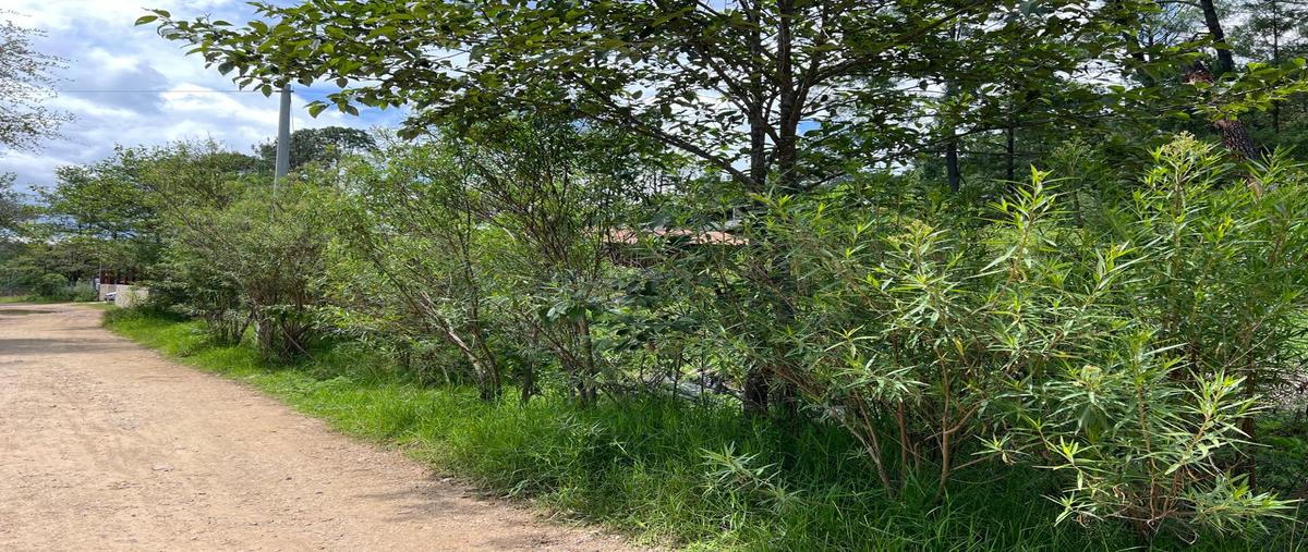 Foto de terreno habitacional en venta en calle la troje , corral de piedra, san cristóbal de las casas, chiapas, 28628533 No. 04