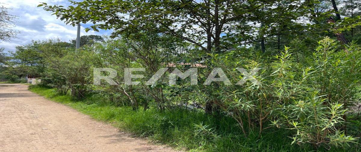 Foto de terreno habitacional en venta en calle la troje , corral de piedra, san cristóbal de las casas, chiapas, 0 No. 04
