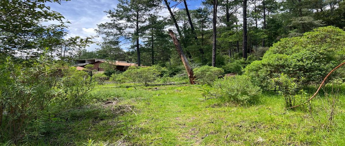 Foto de terreno habitacional en venta en calle la troje , corral de piedra, san cristóbal de las casas, chiapas, 28628533 No. 05