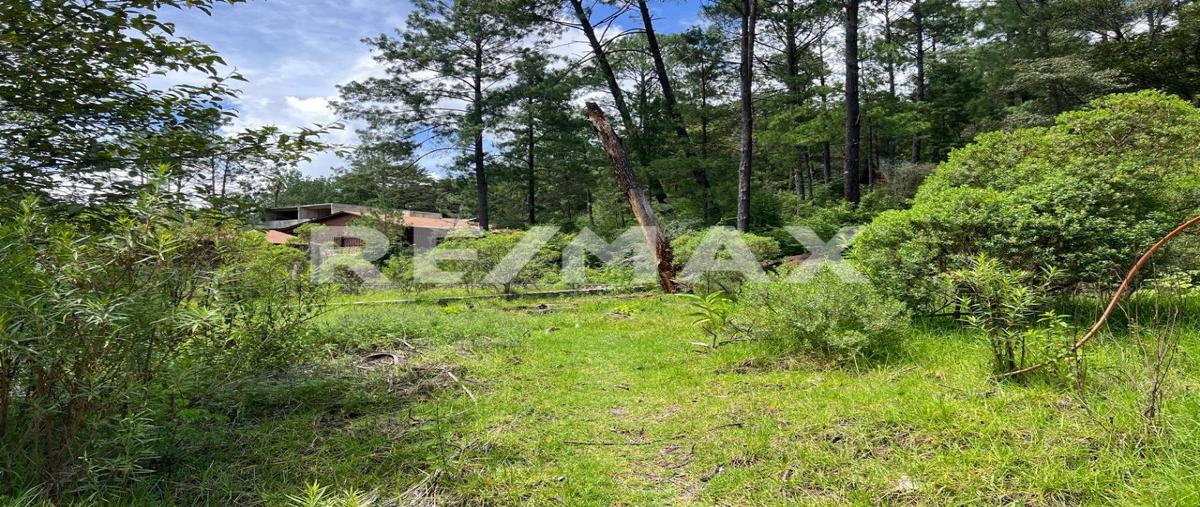 Foto de terreno habitacional en venta en calle la troje , corral de piedra, san cristóbal de las casas, chiapas, 0 No. 05