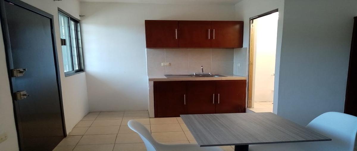 Foto de departamento en renta en calle las americas , francisco i madero, carmen, campeche, 30833371 No. 05