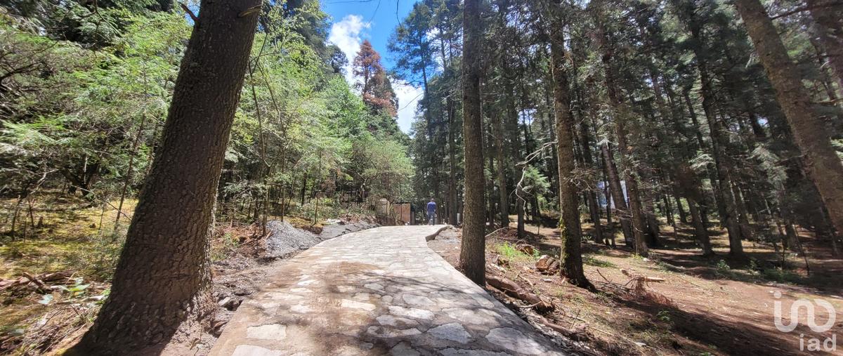 Foto de terreno habitacional en venta en calle las flores 78, bosques de san cayetano, mineral del monte, hidalgo, 28720346 No. 05