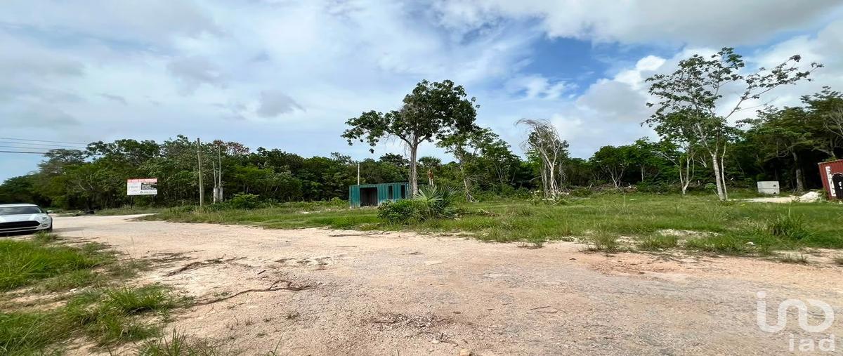 Foto de terreno comercial en venta en calle las mañanitas 119, supermanzana 313, benito juárez, quintana roo, 31672670 No. 03