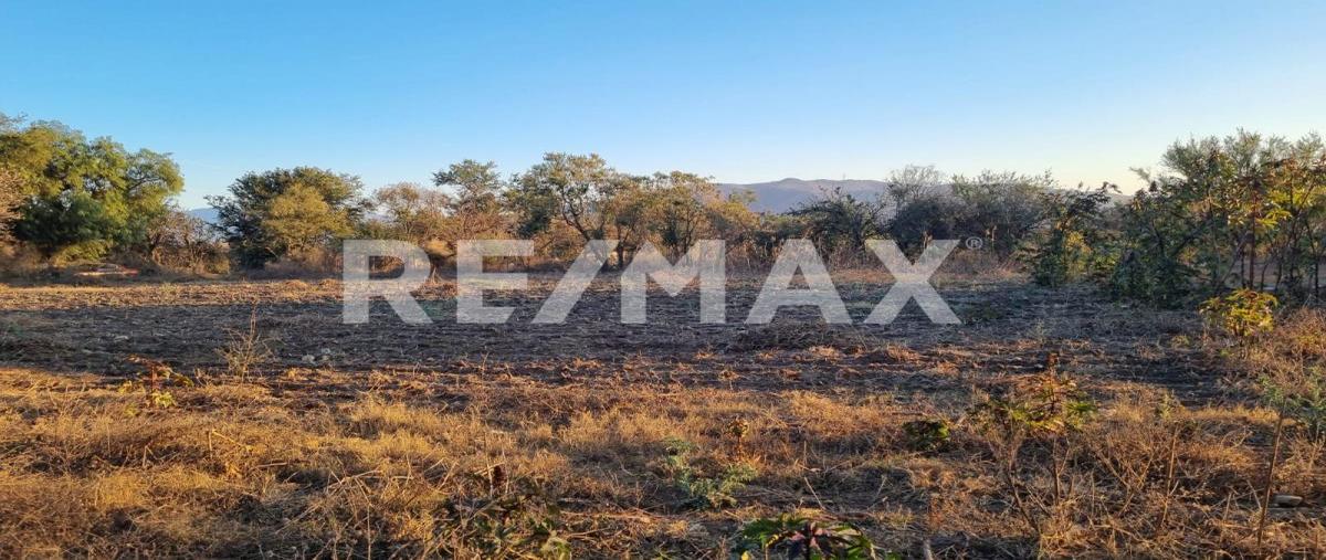 Foto de terreno habitacional en venta en calle libertad , san andres huayapam, san andrés huayápam, oaxaca, 0 No. 04