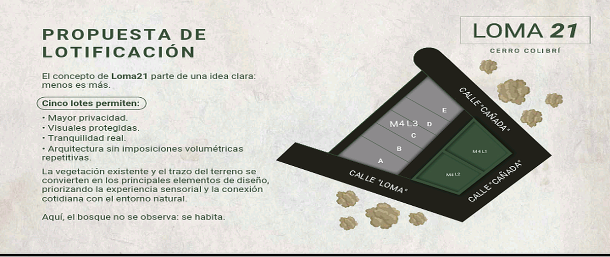 Foto de terreno habitacional en venta en calle loma , vista hermosa, san cristóbal de las casas, chiapas, 0 No. 05