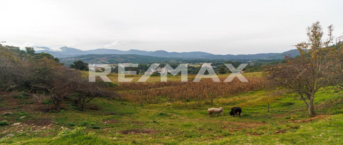 Foto de terreno habitacional en venta en calle los colchones , manzana los colchones, villa de allende, méxico, 0 No. 05