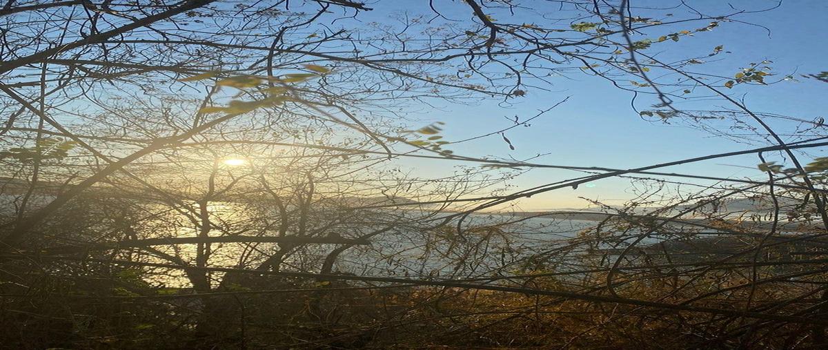 Foto de terreno habitacional en venta en calle los riscosseccion club de yates , península de santiago, manzanillo, colima, 0 No. 04