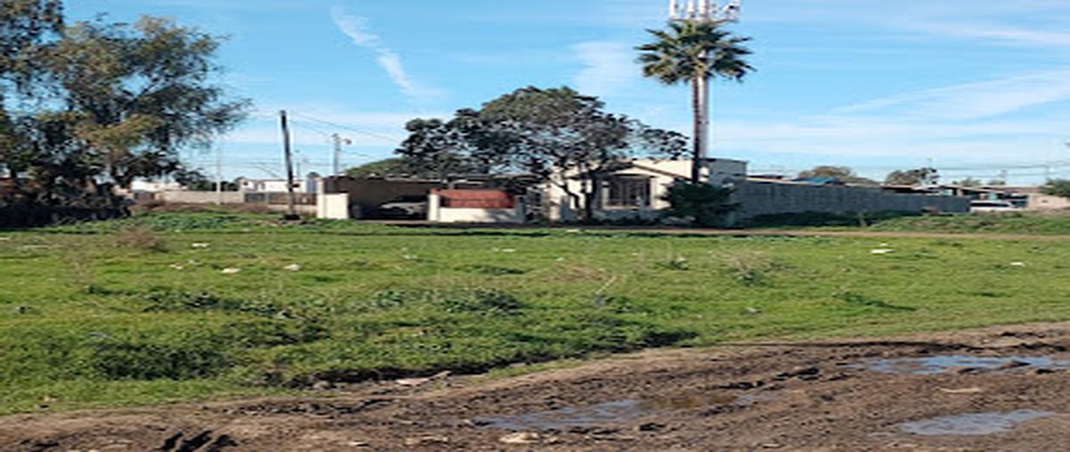 Foto de terreno habitacional en calle , maneadero, ensenada, baja california, 27742636 foto 03 Foto de terreno habitacional en venta en calle , maneadero, ensenada, baja california, 27742636 No. 03