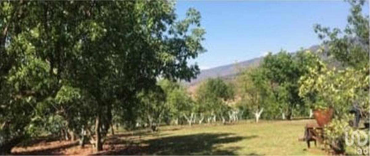 Foto de terreno habitacional en venta en calle mendez 139, chiquilistlan, chiquilistlán, jalisco, 31134015 No. 03