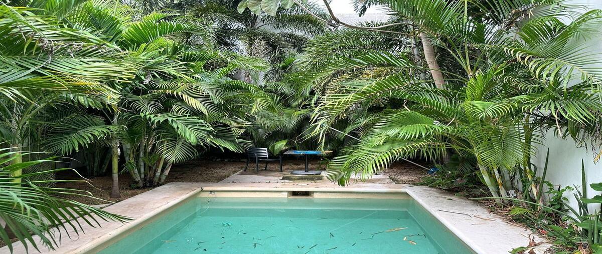 Foto de casa en calle , merida centro, mérida, yucatán, 29221471 foto 02 Foto de casa en venta en calle , merida centro, mérida, yucatán, 29221471 No. 02