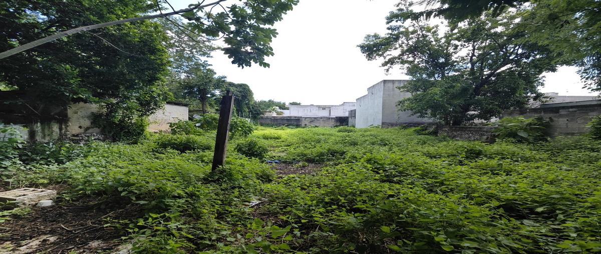 Foto de casa en venta en calle , merida centro, mérida, yucatán, 30488477 No. 03