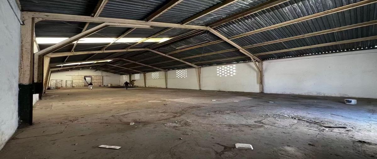 Foto de bodega en renta en calle , merida centro, mérida, yucatán, 30603446 No. 05