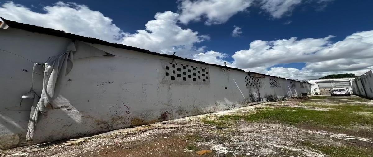 Foto de bodega en renta en calle , merida centro, mérida, yucatán, 30603446 No. 07
