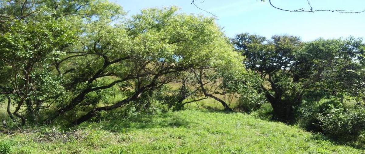 Foto de terreno habitacional en venta en calle mina 00, cuilápam de guerrero centro, cuilápam de guerrero, oaxaca, 8871763 No. 03